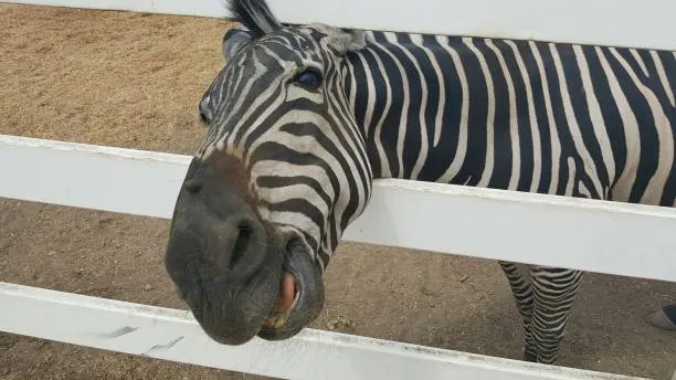 Can You Help Me?.......I'm stuck...